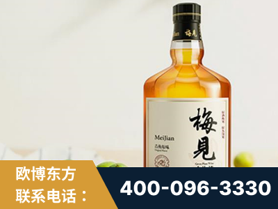 潜山-梅见青梅酒